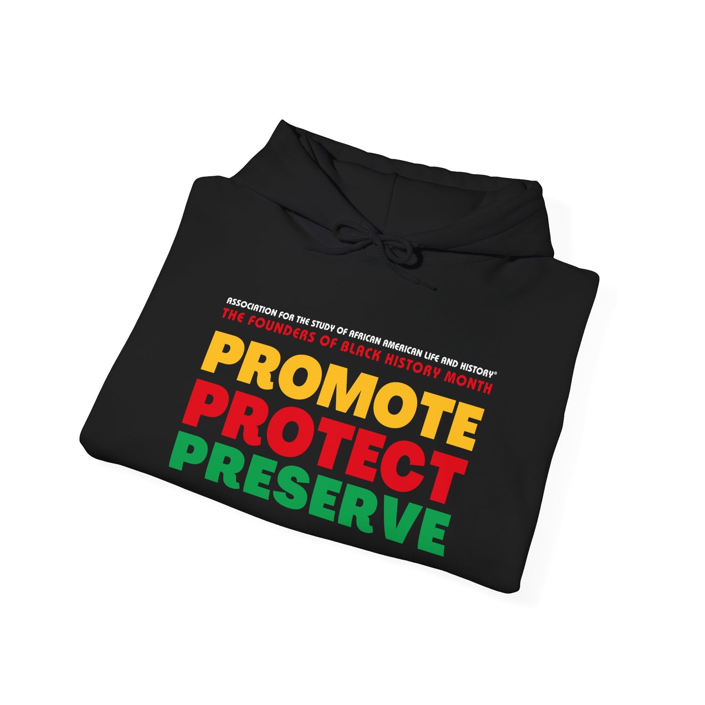 Promote, Protect, Preserve Hoodie