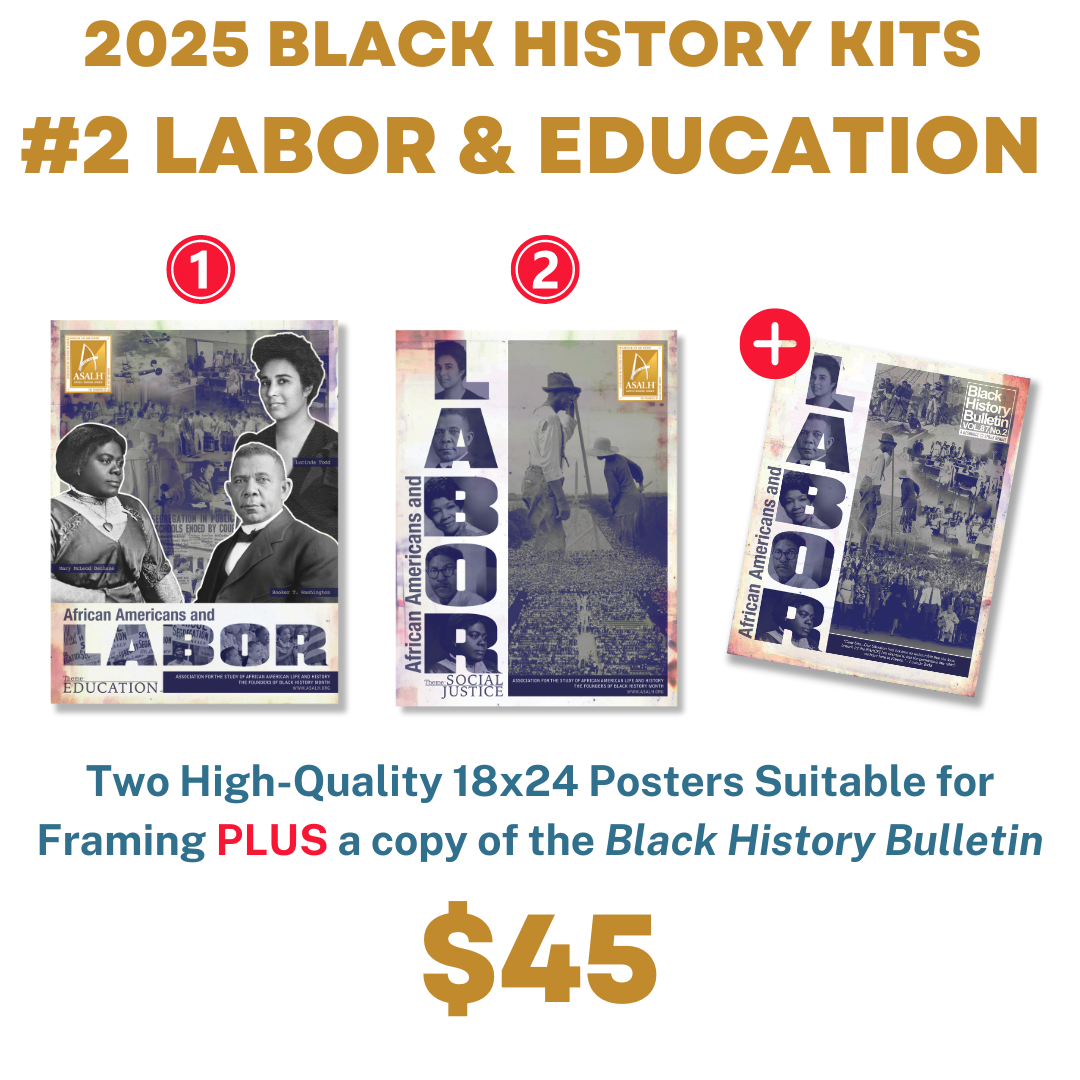 2025 Black History Kit #2  - Two EDUCATION Posters + BHB