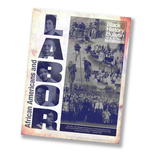 2025 Black History Kits - Four Posters + BHB – ASALH Store